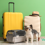 Perro frente a kennel y maletas